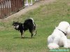 250505_105845