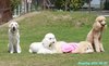 250505_105831
