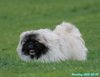 250505_135832_02