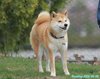 250505_110602_01