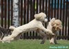 250506_104636