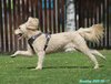 250517_102025_01
