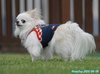 250608_105645_01